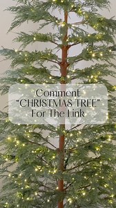 The viral @Walmart Christmas Tree is back and better than ever!!!! This year is comes with twinkle lights. It’s so pretty! 🌲🌲🌲 This tree is sparse like a real tree. It comes in 3 sizes and is already sold out in the 4 ft. and 7.5 ft. options. These will restock soon hopefully, but if you want the 9ft. option, I would hurry! I will link all 3 sizes so you can check for the restock notices. Comment “Christmas Tree” for the links. 🔗🔗🔗**#walmart #walmartchristmas #walmartchristmasdecor #walmar