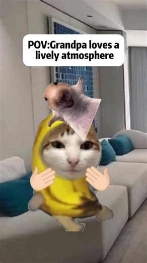 My grandpa#catmeme #funnycat #foryou | cat memes