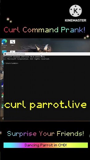 Curl Command Prank: Dancing Parrot in Your CMD! #shorts #prank