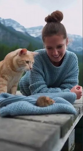 A cat saves a mouse from drowning.❤️ #viral #movie #wildliferescue
