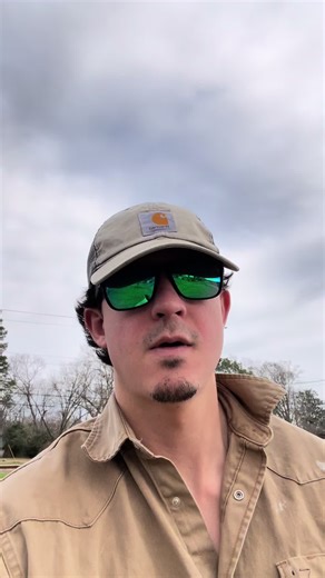 Understanding Dog Training Opinions on TikTok