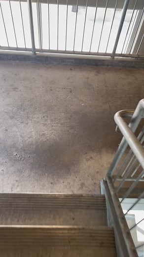 Stairwell Farts, Day #87. Someone got a mouthful of that one😅RIP 💀 #fart #farts #trending #fypシ #foryou #fyp #foryoupage #morning #morningfarts #stairwell #stairwellfart #work #friday #workfarts