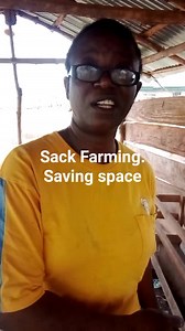 You have been wanting to produce your food. You want to reduce the money you spend on buying foodstuff. You want to save money from food You want to stop eating poison in synthethic food You want to eat healthy But you don't have space Here I have sack farming to the rescue You don't need plenty space A sack can take 50 - 80 plants according to spacing distance A sack will just need 1sqm size You can put it by the window side wherehete it 2ull be supplying you oxygen in term of fresh air Follow