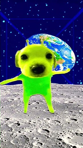 Party in the beach at chocacobana alien