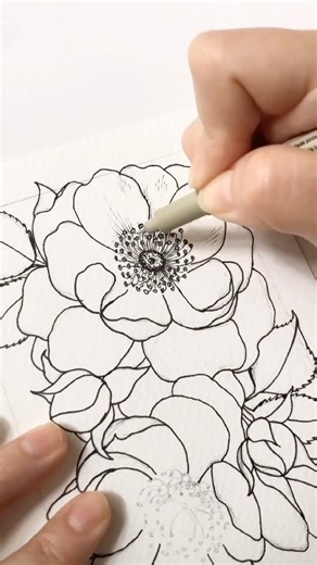 Pen & Ink Roses | Elegant Floral Line Art Drawing Process with Micron Pens