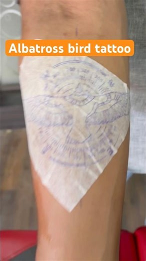 Albatross bird Tattoo #trending #viral #shorts