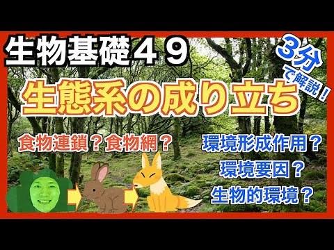 【生物基礎49】生態系の成り立つについて【3分で解説！】