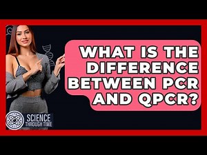 What Is The Difference Between PCR And QPCR? - Science Through Time