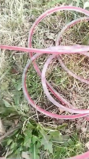 Hose Level: 100% Accurate Homemade Method