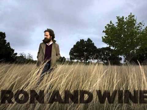 Iron and Wine - Love Vigilantes lyrics