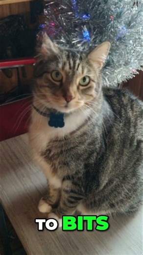 Vader's Force Fantasy: Destroying a Tree with Dark Side Powers!