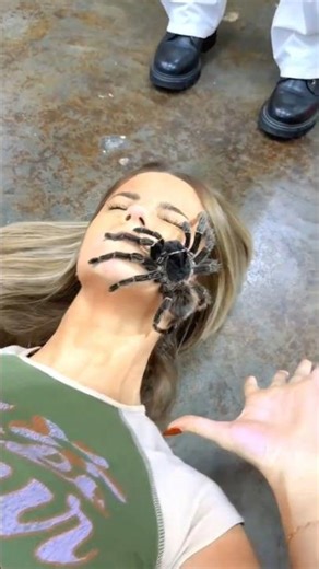 small to big spider transformation! 💀