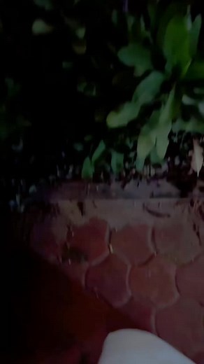 🎀🦋💕🖇️💍♥️toto