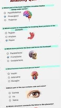 HOT Anatomy Quiz #20 🔥🧠 | 6 Tricky Human Body Questions | Can You Score 6/6? #shorts