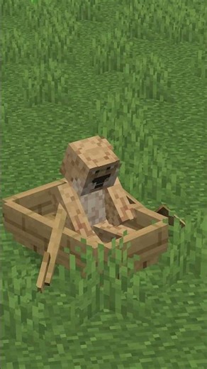 I Broke a Server with a Minecraft Boat Glitch