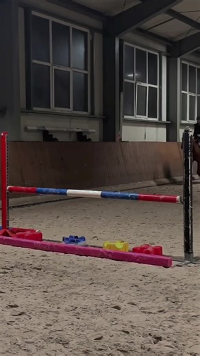 Her first time🫣#foruyou #equestrianlife #foryoupage #horseriding #viral