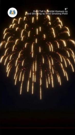 FWsim Shell | Gold to Nishiki Kamuro to Red Strobing w/ Red Strobing Pistil (6")