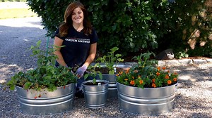 325K views · 598 reactions | Not enough space? Grow your crops in containers like Garden Answer! | Espoma Organic | Facebook