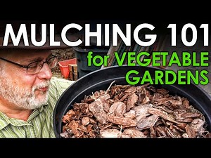 Mulching 101 for Vegetable Gardeners || Black Gumbo
