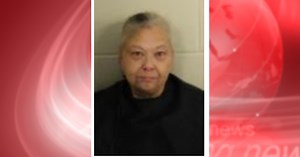 Chronicle: Cockroaches crawled out of a child's clothes and backpack