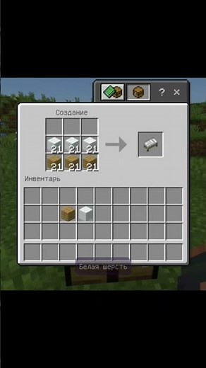 How to make a door in Minecraft #minecraft #gameplay