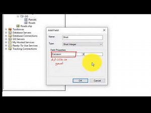Create a geodatabase, types of fields, and the difference between Domain and Subtype of ArcGIS