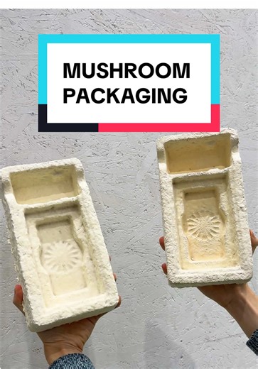 Revolutionizing Packaging: Say Goodbye to Polystyrene