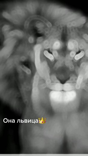 #WorkVelocity #viral_video