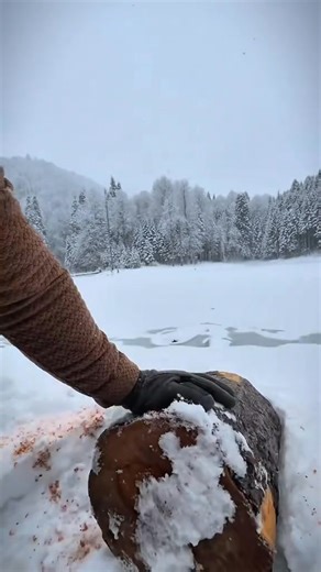 22K views · 256 reactions | Grilling beef on a swedish torch in the snow in the middle of nature 數蝹 #cookingasmr #outdoorcooki Video credit @LEON | The Tips | Facebook