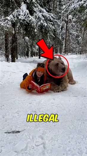 Top 3 STRANGEST Pets People Actually Keep