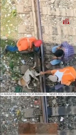 रेल्वे रुळात अडकला श्वानाचा पाय... समोरून रेल्वे आली... पण रेल्वे कर्मचाऱ्यांनी काय केले पहा!