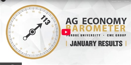 Farmer Sentiment Drops Sharply At Start Of 2026 As Economic Concerns Increase