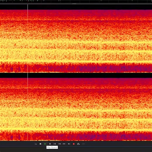 231K views · 3.2K reactions | The scariest sound in the world  #psychology #sciencefacts #fear #experiment #research #fblifestyle #reels | The Action Lab | Facebook