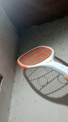 401K views · 2K reactions | It was buzzing off like mad  | LADbible | Facebook