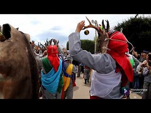 Danza de los Pukes Naranja 2021 💜💛💚💙🦌 "Suscribete"