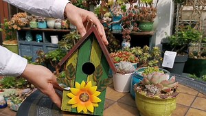 Watch Rustic Decorative Bird House for Outside on Amazon Live