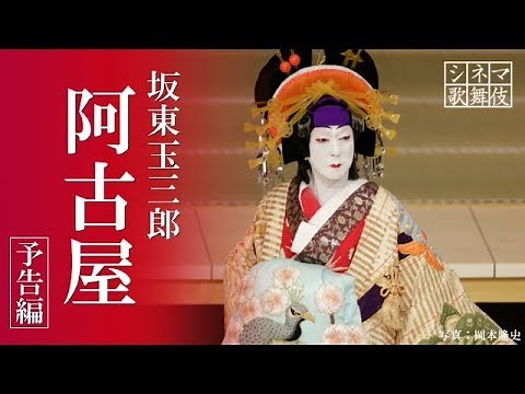 シネマ歌舞伎『阿古屋』予告編