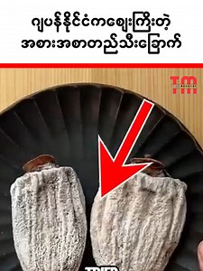 မြန်မာနိုင်ငံမှာပေါပေမဲ့ ဂျပန်နိုင်ငံမှာ ဈေ-းကြီးနေတဲ့ တည်သီး | Top Magazine