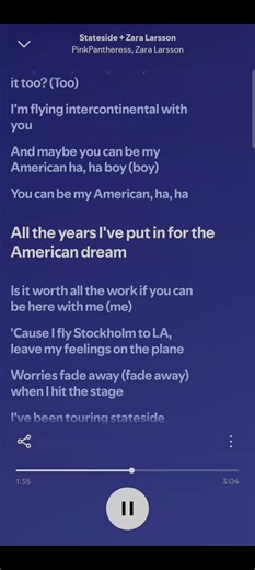 Stateside Zara Larsson #ZaraLarsson #pinkpantheress #lyrics #music #spotify