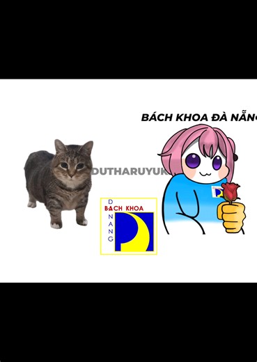 This is a Bách Khoa #bachkhoa #bachkhoadanang #dut