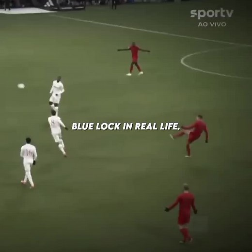 Colorado11cd no TikTok