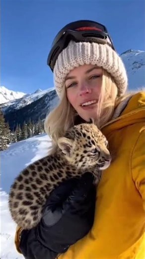 Close Call in the Snow: Protective Mother Leopard Reclaims Her Cub!