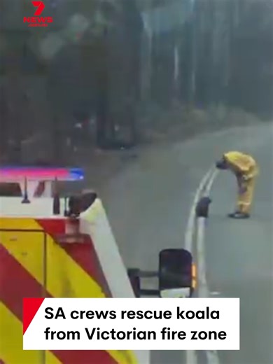 Firefighters Rescue Koala in Victoria
