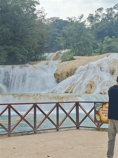 Espectacular el color. #CASCADASDEAGUAAZUL #chiapas #hermosolugar #azul #agua #conectar