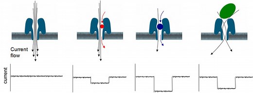 Oxford Nanopore unveils portable genome sequencer – MinION