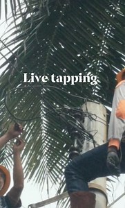 #secondary line tapping#service drop wire | life of line