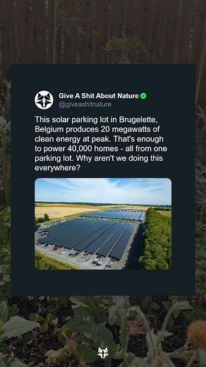 Why aren't we doing this everywhere? | Give A Shift About Nature