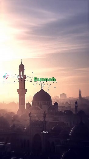 Ciri Fisik Rasulullah: Dada, Perut, dan Tubuh