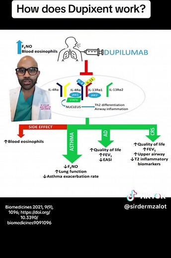 Understanding How Dupixent Works for Eczema