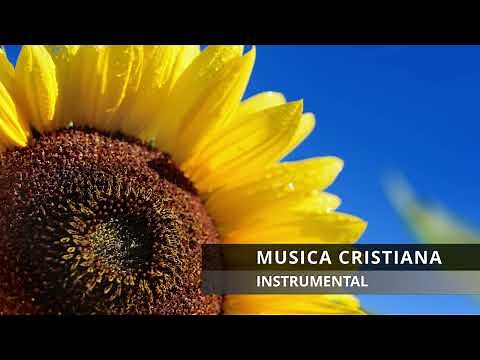 Música Cristiana Instrumental Con Sonido De Aves